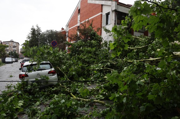 GRAĐANI UPOZORENI DA NE IZLAZE IZ SVOJIH KUĆA DO SREDE Alarmantno stanje u Podgorici: Jak vetar rušio stabla, najavljeno jako nevreme